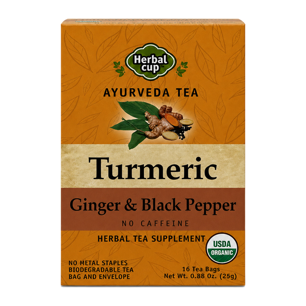 Turmeric Ginger & Black Pepper Tea – Organic Ayurvedic Blend — single box