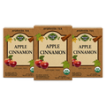 Organic Apple Cinnamon Tea — Ayurvedic Blend — 3-box pack