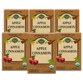 Organic Apple Cinnamon Tea — Ayurvedic Blend — 6-box pack
