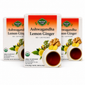 Organic Ashwagandha Lemon Ginger Tea — Ayurvedic Blend — 3 pack