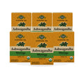 Organic Ashwagandha Moringa Tea – Ayurvedic Blend with Ginger & Hibiscus — 6-box pack