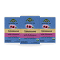 Echinacea Elderberry Tulsi Tea — 3-box pack