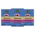 Echinacea Elderberry Tulsi Tea — 3-box pack