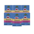 Echinacea Elderberry Tulsi Tea — 6-box pack