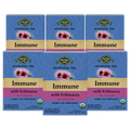 Echinacea Elderberry Tulsi Tea — 6-box pack