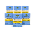 Echinacea Lemon Ginger Tea — Ayurveda — 6-box pack