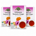 Organic Echinacea Turmeric Ginger Tea — Ayurvedic Blend with Tulsi — 3 pack