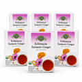 Organic Echinacea Turmeric Ginger Tea — Ayurvedic Blend with Tulsi — 6 pack