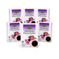 Elderberry Echinacea Rosehips Tea — Ayurveda — 6-box pack