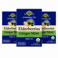Elderberry Ginger Mint Tea — Ayurveda — 3 pack