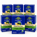 Elderberry Ginger Mint Tea — Ayurveda — 6 pack