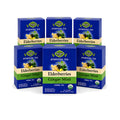 Elderberry Ginger Mint Tea — Ayurveda — 6-box pack