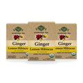 Organic Ginger Lemon Hibiscus Tea — Ayurvedic Blend — 3-box pack
