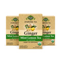 Ginger Mint Lemon Tea — Ayurveda — 3-box pack