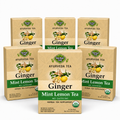 Ginger Mint Lemon Tea — Ayurveda — 6 pack