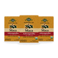 Organic Maca Ashwagandha Tea — 3-box pack