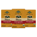 Organic Maca Ashwagandha Tea — 3-box pack