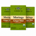Moringa Ginger Mint Tea — Ayurveda — 3 pack