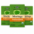 Moringa Tulsi Ayurvedic Tea — 3 pack